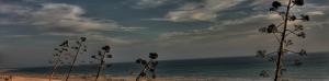 kitesurf conil 9 0